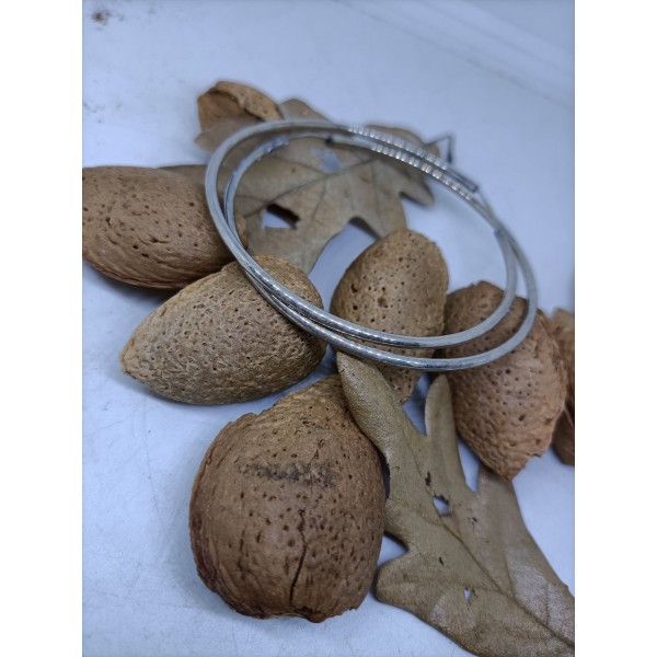 Aros de plata
