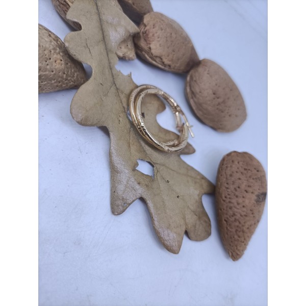 Aros de plata