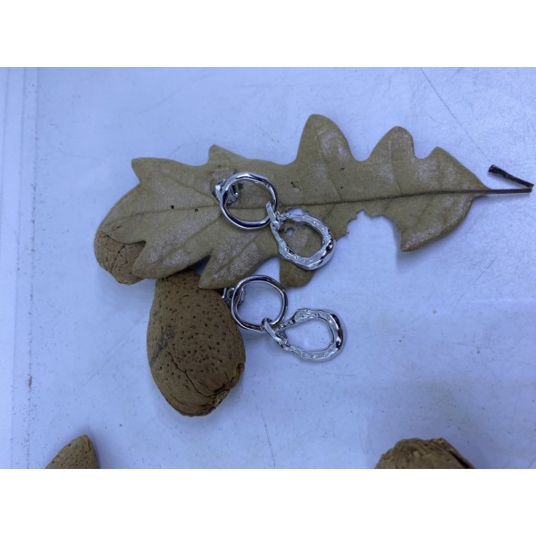 Pendientes plata