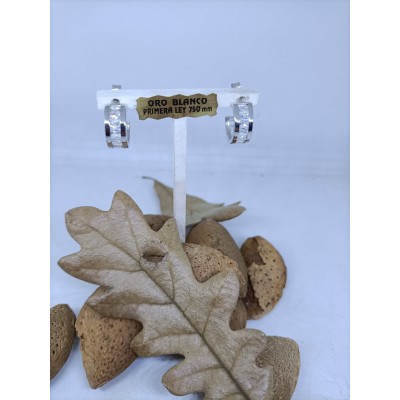 Pendientes oro blanco con zc