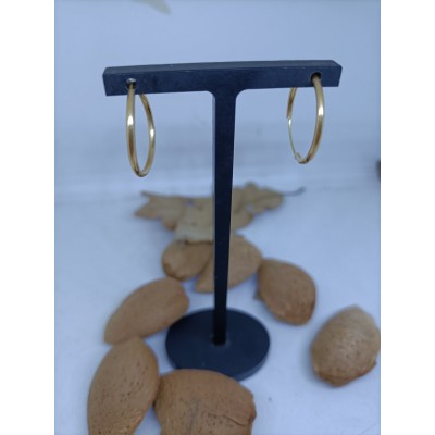 Aros de oro