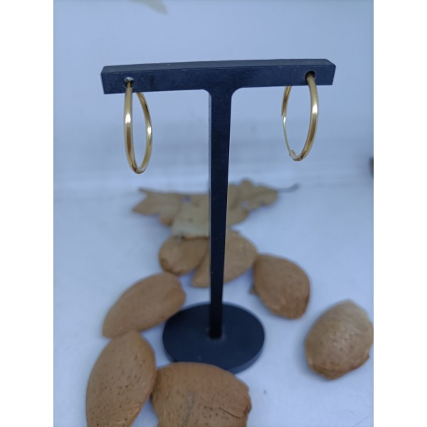 Aros de oro