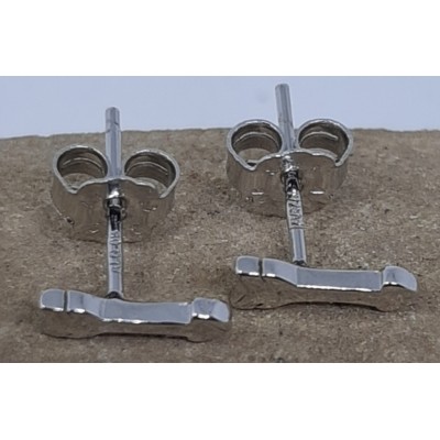 Pendientes plata